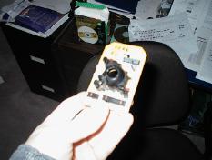 mouse guts